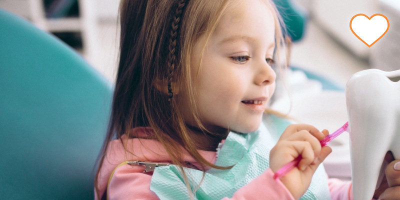 Основы современной детской стоматологии, лечение молочных зубов